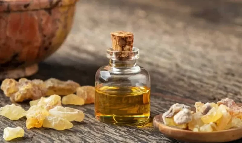 Getah Aromatik Atau Kemenyan Berhubungan Sama Mistis