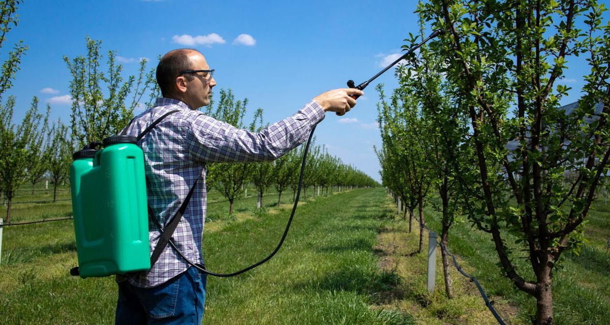 Peneliti: Pestisida Berlebih Jadi Mimpi Buruk Bagi Tanah