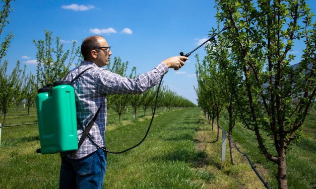 Peneliti: Pestisida Berlebih Jadi Mimpi Buruk Bagi Tanah