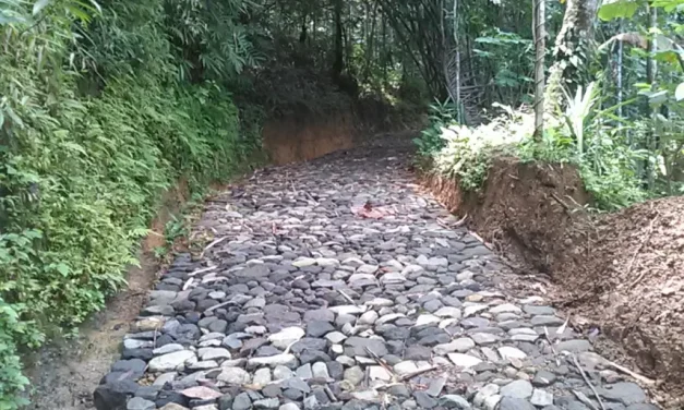 Trik Tepat Mengemudi Di Jalanan Bebatuan Via Mobil Matic