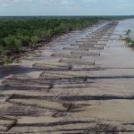 Bengkalis Kini Jadi Kiblat Mangrove Dunia