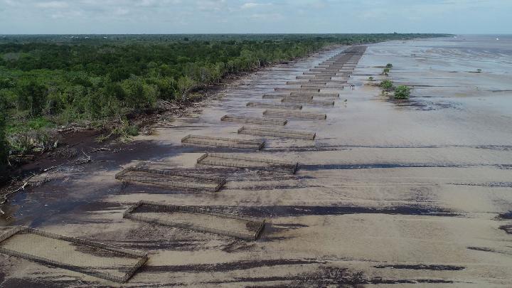 Bengkalis Kini Jadi Kiblat Mangrove Dunia