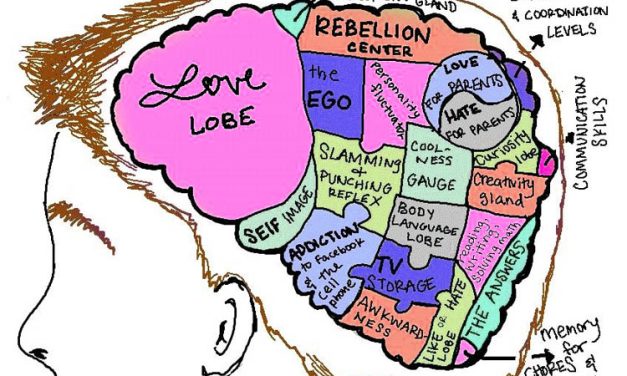 Pikiran Ruwet, Badan Ikut Sakit Yang Wajib Di Ketahui