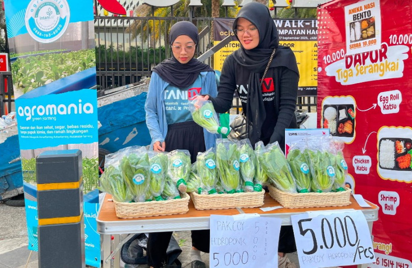 Jual Sayur Doang, Gen Z Ini Bisa Cuan Rp2 Juta/Hari!
