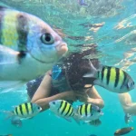 Pemula Wajib Tahu! Trik Snorkeling Aman Tanpa Panik
