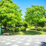 Pilihan Taman Kota Di Bekasi Yang Paling Hits Dan Adem