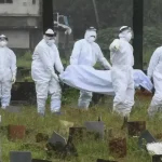 Virus Nipah Kembali Membunuh, Kali Ini Di Bangladesh