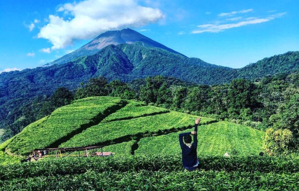 Mau Healing Sejuk? Keindahan Kaki Gunung Slamet Jawabannya!