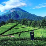 Mau Healing Sejuk? Keindahan Kaki Gunung Slamet Jawabannya!