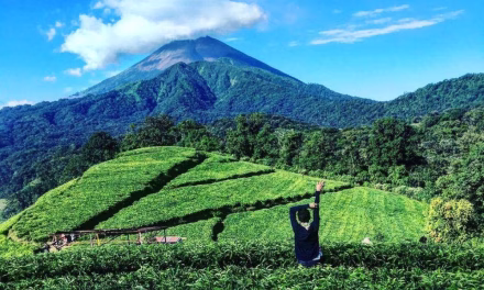 Mau Healing Sejuk? Keindahan Kaki Gunung Slamet Jawabannya!