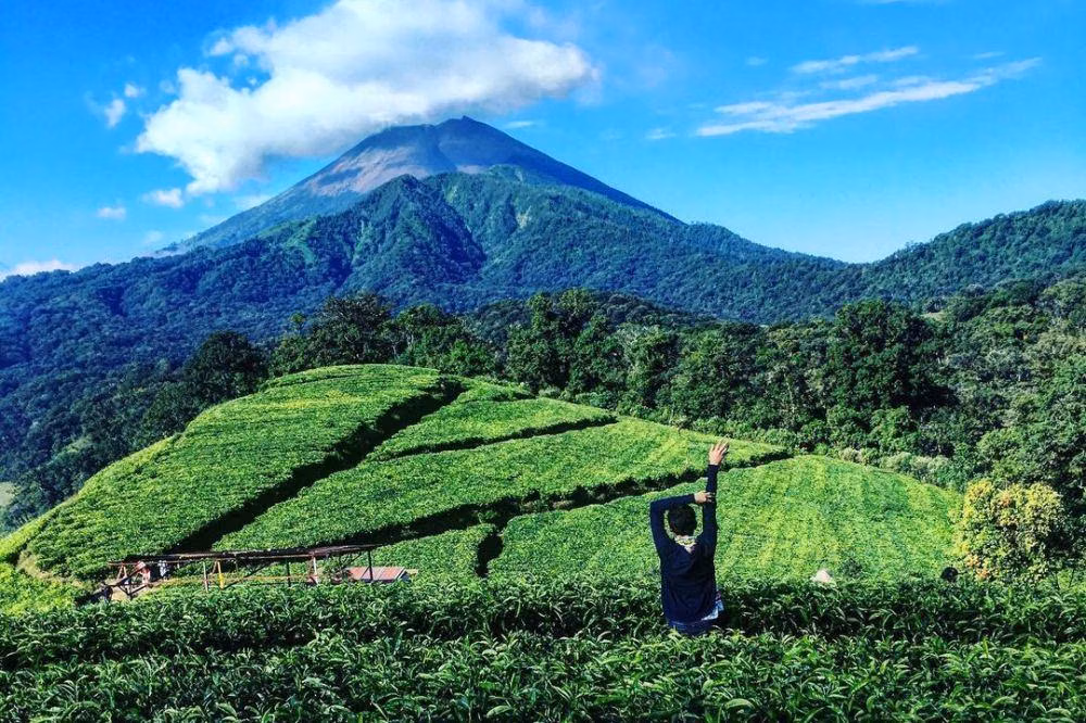 Mau Healing Sejuk? Keindahan Kaki Gunung Slamet Jawabannya!