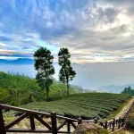 Pesona Lampung: Surga Wisata Populer Buat Pelancong