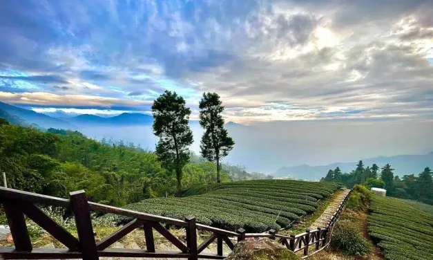 Pesona Lampung: Surga Wisata Populer Buat Pelancong